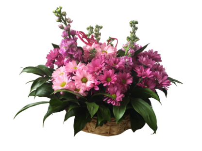 Purple love flower basket